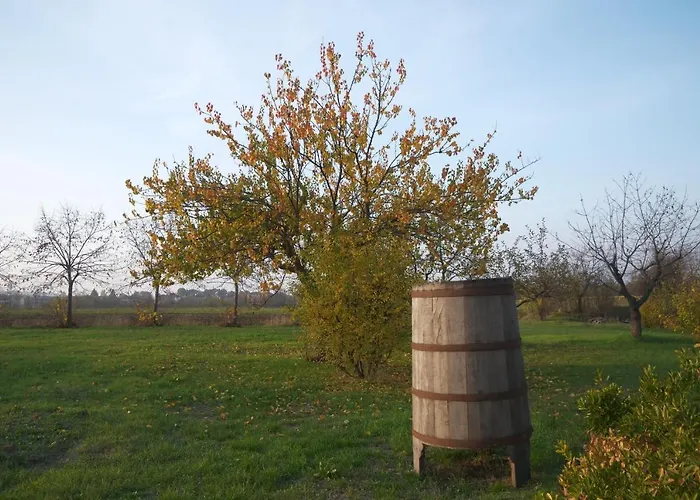 Bed & Breakfast Des Artistes