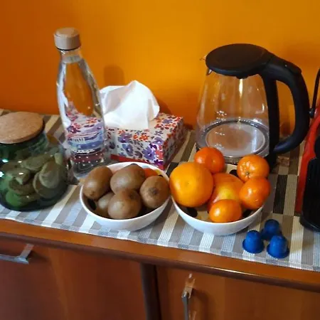 Des Artistes Borzano