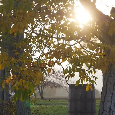 Des Artistes Bed & Breakfast