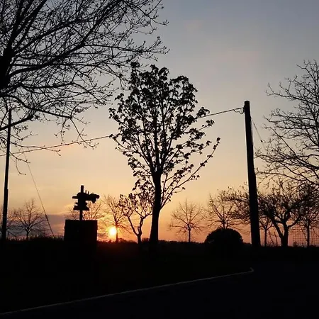 Des Artistes Bed & Breakfast