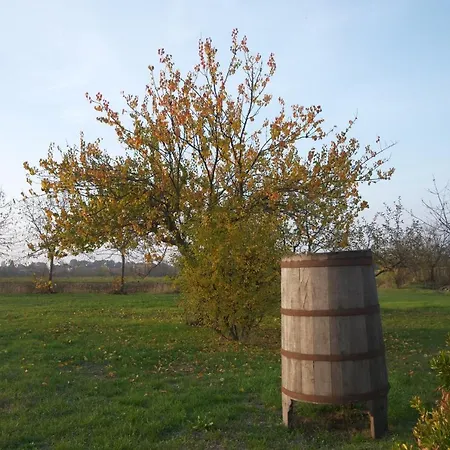 Bed & Breakfast Des Artistes