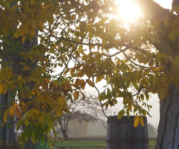 Des Artistes Отель типа 